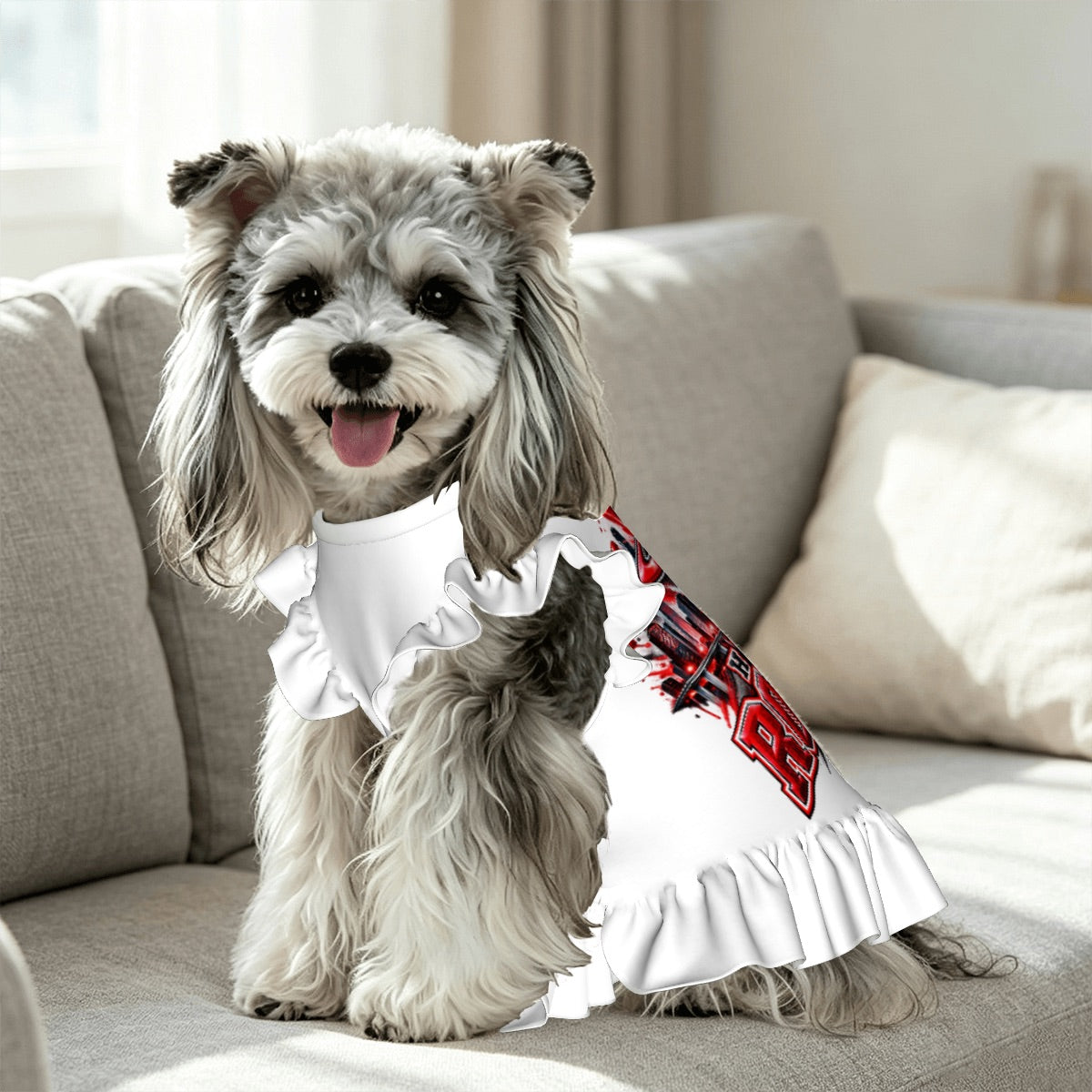 Ruffle Hem Dog Rockets Dress